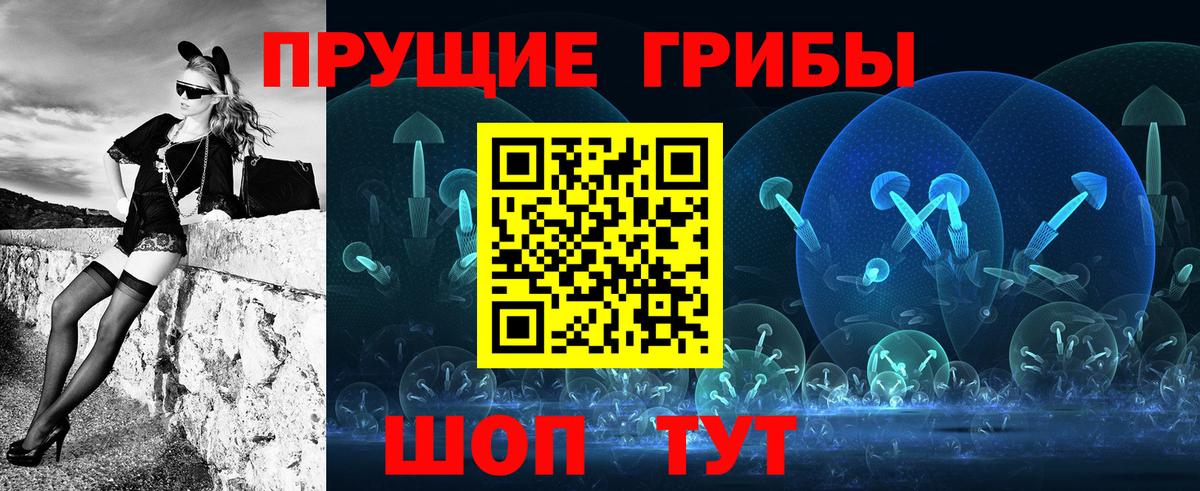 Галлюциногенные грибы Psilocybine cubensis  Вход с VPN  Шали  Псилоцибиновые грибы Magic Shrooms 